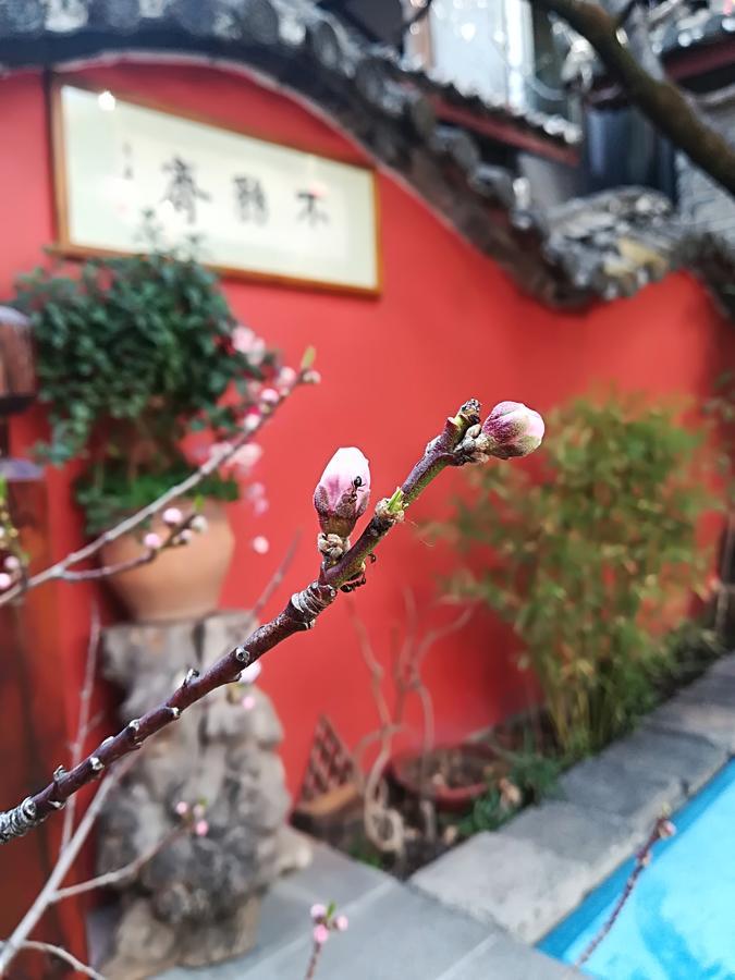 Lijiang Buwuzhai Inn Esterno foto