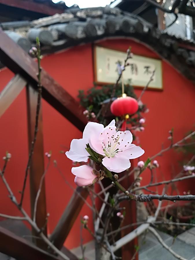 Lijiang Buwuzhai Inn Esterno foto
